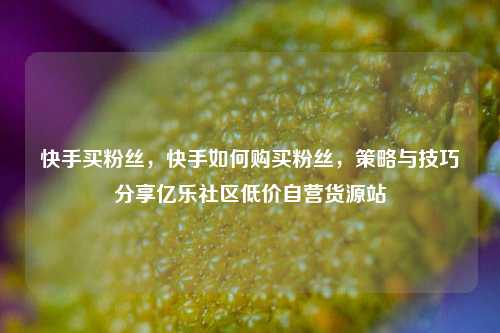 快手买粉丝，快手如何购买粉丝，策略与技巧分享亿乐社区低价自营货源站  第1张