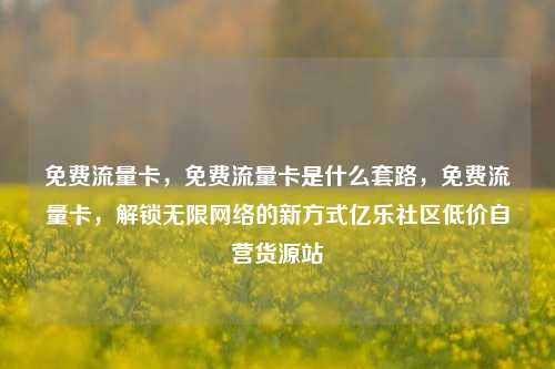 免费流量卡，免费流量卡是什么套路，免费流量卡，解锁无限网络的新方式亿乐社区低价自营货源站  第1张