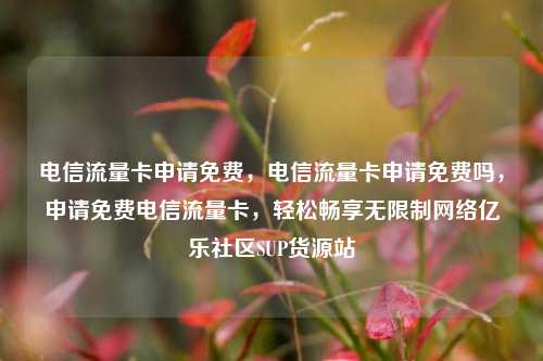 电信流量卡申请免费，电信流量卡申请免费吗，申请免费电信流量卡	，轻松畅享无限制网络亿乐社区SUP货源站  第1张