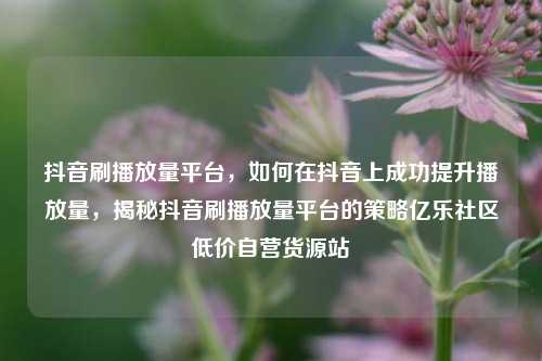 抖音刷播放量平台，如何在抖音上成功提升播放量	，揭秘抖音刷播放量平台的策略亿乐社区低价自营货源站  第1张