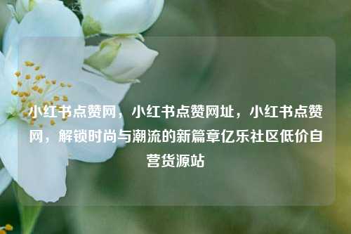 小红书点赞网，小红书点赞网址，小红书点赞网，解锁时尚与潮流的新篇章亿乐社区低价自营货源站  第1张