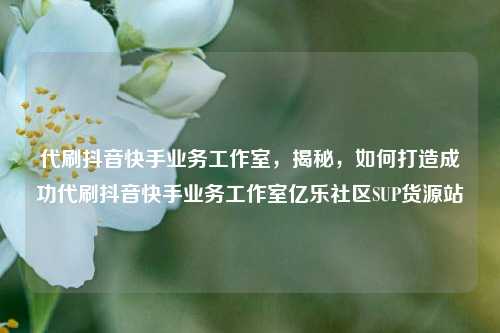代刷抖音快手业务工作室	，揭秘，如何打造成功代刷抖音快手业务工作室亿乐社区SUP货源站  第1张